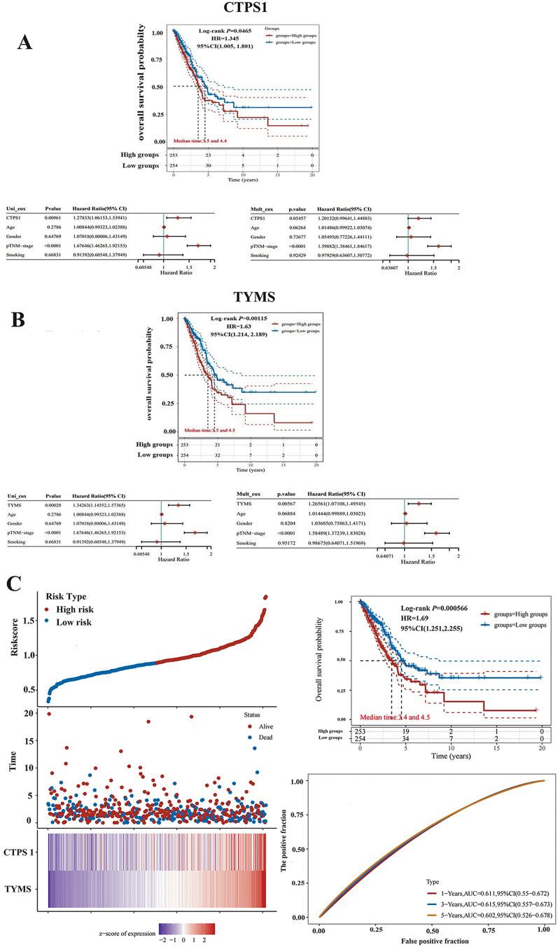 https://cdn.ncbi.nlm.nih.gov/pmc/blobs/a4b5/11974570/b035a9296088/OTT-18-467-g0006.jpg