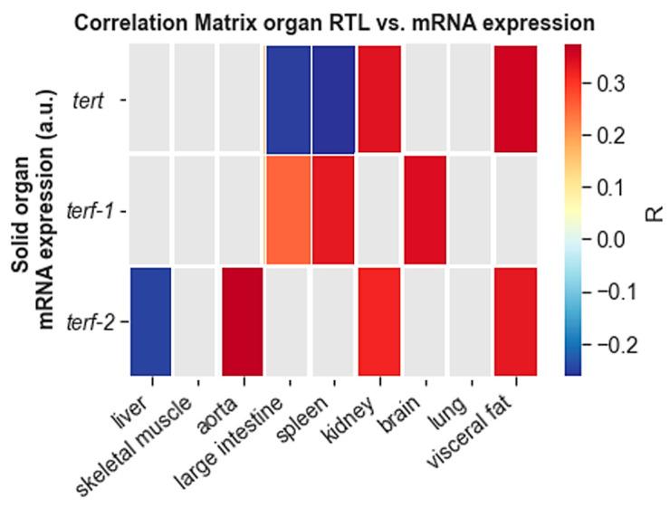 https://cdn.ncbi.nlm.nih.gov/pmc/blobs/a4c6/9139508/c9807f2783f3/cells-11-01605-g008.jpg