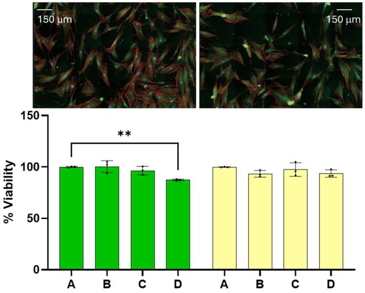 https://cdn.ncbi.nlm.nih.gov/pmc/blobs/a4d1/12190194/c102c283dc72/cancers-17-01903-g001.jpg