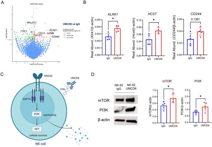 https://cdn.ncbi.nlm.nih.gov/pmc/blobs/a4d7/10992199/ba2ffb467a94/262_2023_3578_Fig4_HTML.jpg