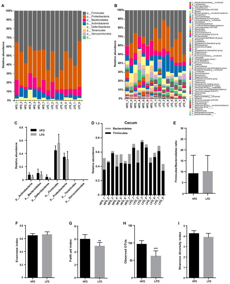 https://cdn.ncbi.nlm.nih.gov/pmc/blobs/a4df/7589760/6beea5874237/nutrients-12-03197-g003.jpg