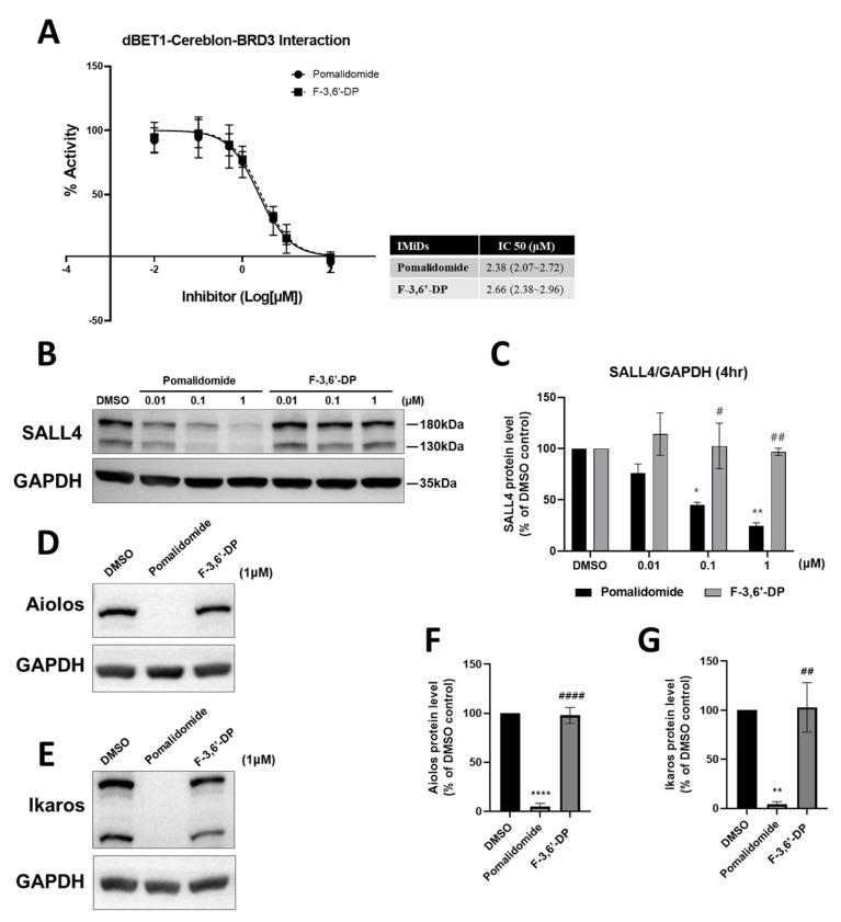 https://cdn.ncbi.nlm.nih.gov/pmc/blobs/a4e5/9598880/182c1d12270e/biomedicines-10-02449-g008.jpg
