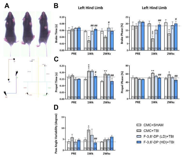 https://cdn.ncbi.nlm.nih.gov/pmc/blobs/a4e5/9598880/7325e7f6f1a2/biomedicines-10-02449-g004.jpg