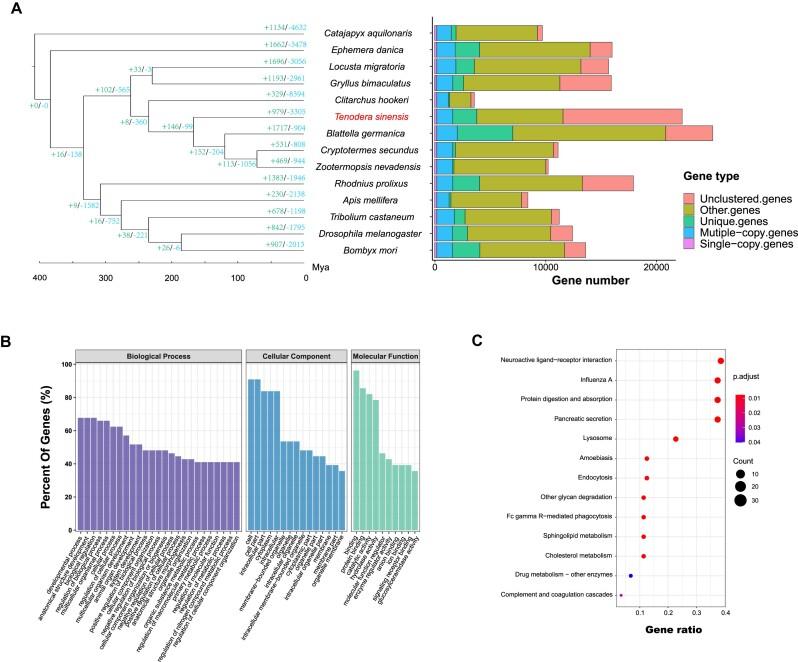 https://cdn.ncbi.nlm.nih.gov/pmc/blobs/a4e9/10600911/1a983495bf91/giad090fig3.jpg