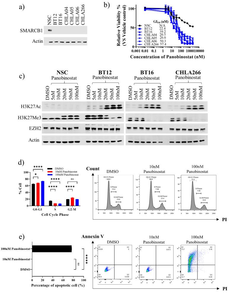 https://cdn.ncbi.nlm.nih.gov/pmc/blobs/a4f7/8534272/240b4ab93906/cancers-13-05145-g001.jpg