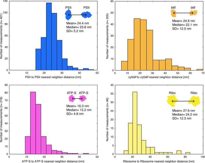 https://cdn.ncbi.nlm.nih.gov/pmc/blobs/a508/7164959/0ec81849a554/elife-53740-fig2-figsupp4.jpg