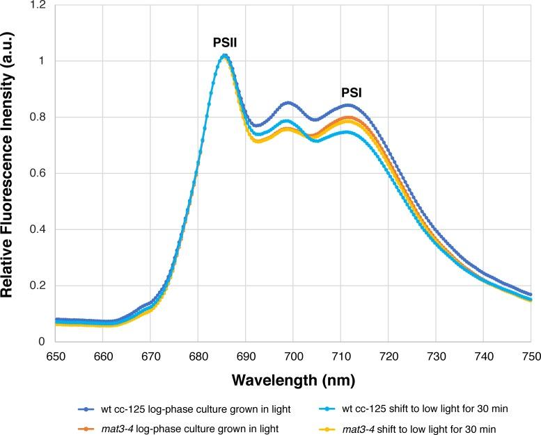 https://cdn.ncbi.nlm.nih.gov/pmc/blobs/a508/7164959/4af2121a2797/elife-53740-fig1-figsupp2.jpg