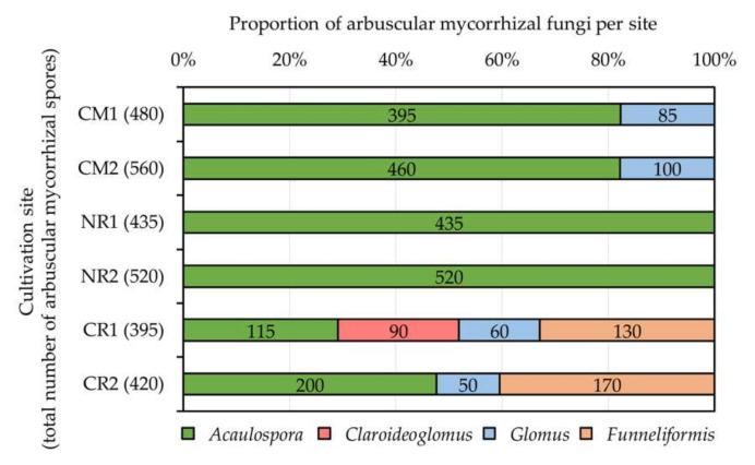 https://cdn.ncbi.nlm.nih.gov/pmc/blobs/a514/7765041/fef48756432c/plants-09-01773-g006.jpg