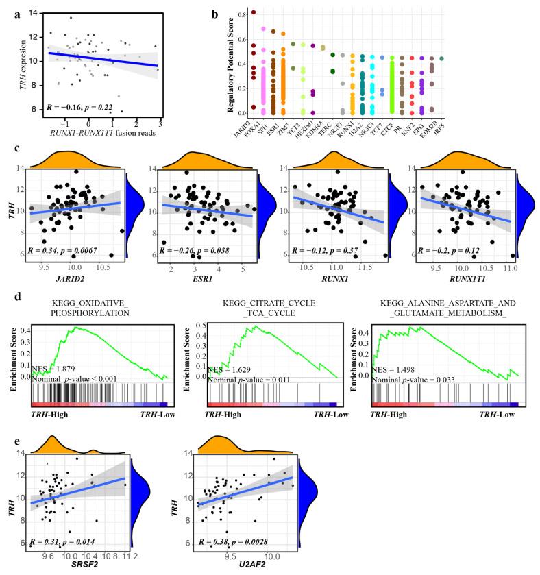 https://cdn.ncbi.nlm.nih.gov/pmc/blobs/a516/9599642/a1b1f1f8b09b/biomolecules-12-01359-g002.jpg