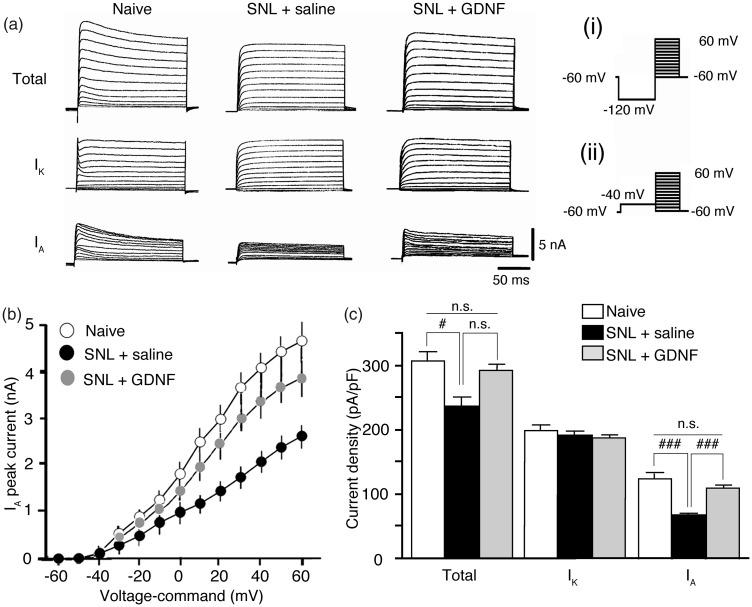 https://cdn.ncbi.nlm.nih.gov/pmc/blobs/a51b/6463340/a4d2634ea254/10.1177_1744806919841196-fig2.jpg