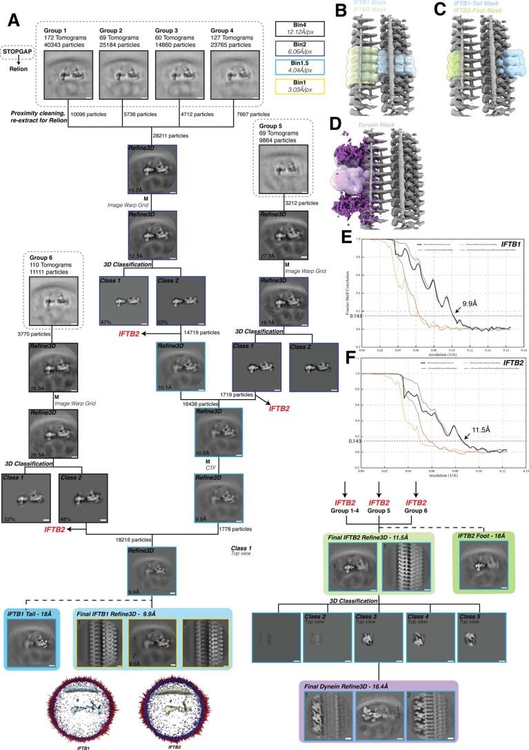 https://cdn.ncbi.nlm.nih.gov/pmc/blobs/a521/10191852/3a55d3126854/41594_2022_905_Fig7_ESM.jpg