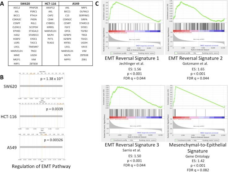 https://cdn.ncbi.nlm.nih.gov/pmc/blobs/a547/5731856/88912c3b7753/oncotarget-08-101072-g001.jpg