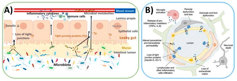 https://cdn.ncbi.nlm.nih.gov/pmc/blobs/a54b/12329290/c3125304d2f3/gr2.jpg