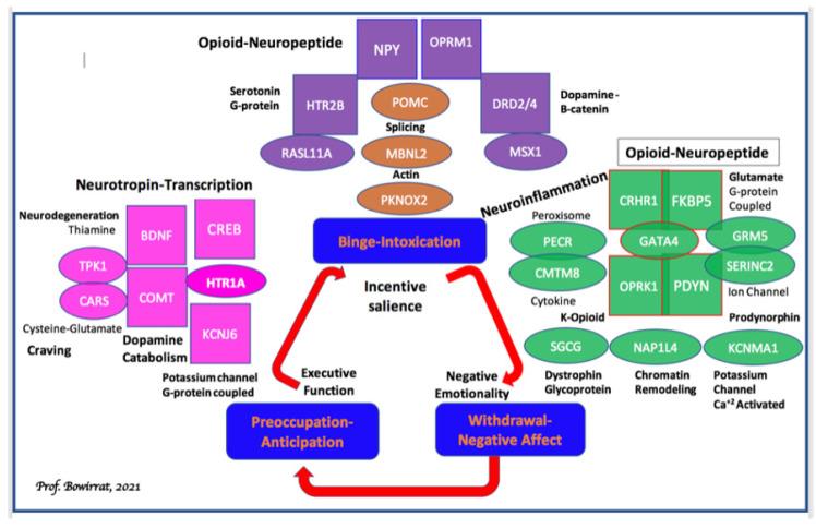 https://cdn.ncbi.nlm.nih.gov/pmc/blobs/a575/8582845/caa445bf90ca/ijerph-18-11529-g004.jpg