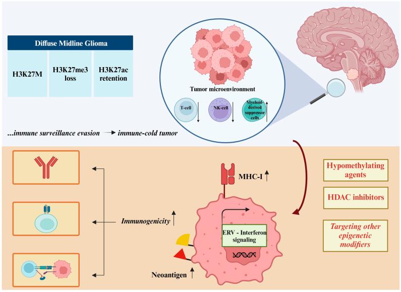 https://cdn.ncbi.nlm.nih.gov/pmc/blobs/a578/11674401/2a3ccd55847b/cancers-16-04149-g006.jpg