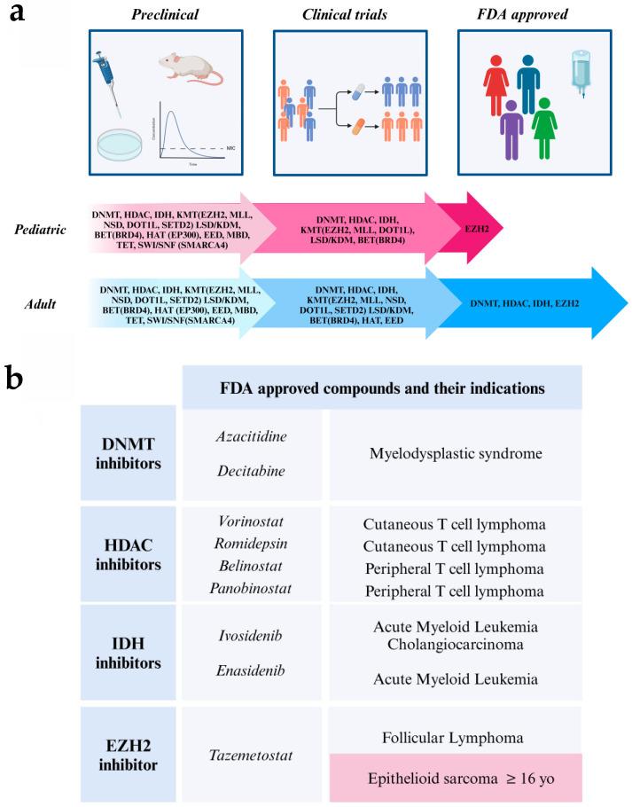 https://cdn.ncbi.nlm.nih.gov/pmc/blobs/a578/11674401/e8403c90ceb7/cancers-16-04149-g004.jpg