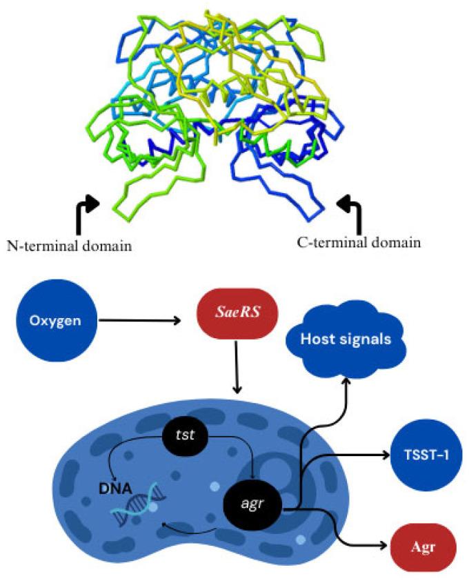 https://cdn.ncbi.nlm.nih.gov/pmc/blobs/a57e/12298739/cc5d687f112a/toxins-17-00323-g001.jpg