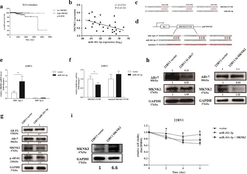 https://cdn.ncbi.nlm.nih.gov/pmc/blobs/a5aa/7519644/01983fce68c2/41419_2020_2932_Fig4_HTML.jpg