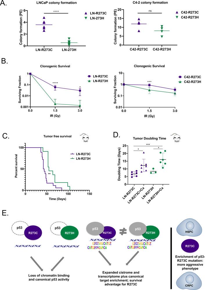 https://cdn.ncbi.nlm.nih.gov/pmc/blobs/a5b7/8755525/7c8954806bbc/41388_2021_1903_Fig7_HTML.jpg