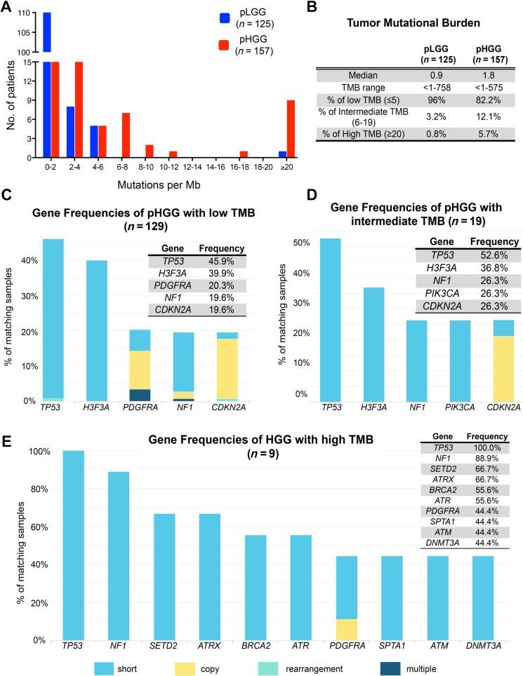 https://cdn.ncbi.nlm.nih.gov/pmc/blobs/a5c2/5728033/0bd4c1dcd695/onco12246-fig-0007.jpg