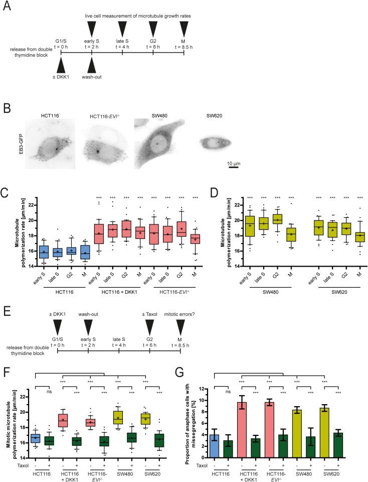 https://cdn.ncbi.nlm.nih.gov/pmc/blobs/a5ca/12373720/502fadc2accb/LSA-2025-03295_Fig3.jpg