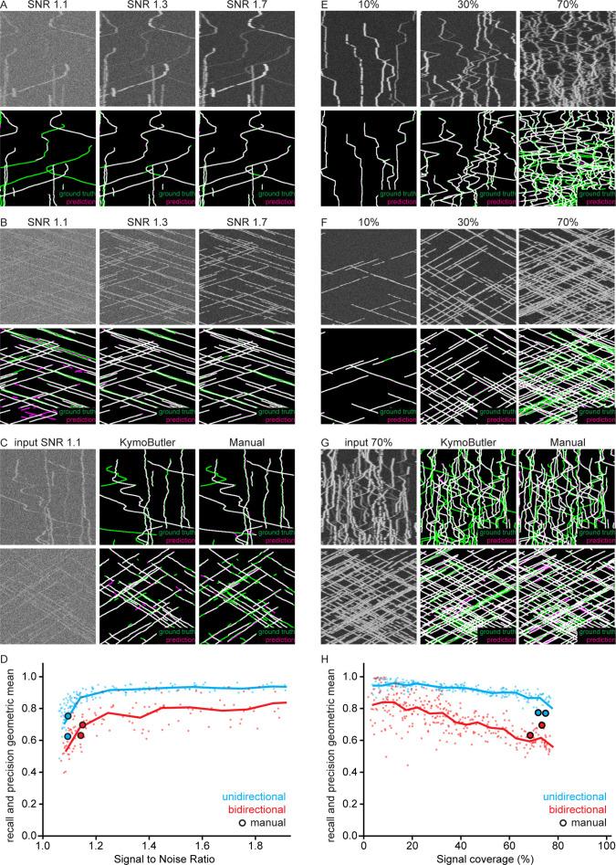 https://cdn.ncbi.nlm.nih.gov/pmc/blobs/a5f4/6692109/8873b500e29b/elife-42288-fig1-figsupp5.jpg