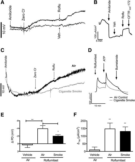 https://cdn.ncbi.nlm.nih.gov/pmc/blobs/a5f7/5604356/6c76fd59ca18/12931_2017_656_Fig1_HTML.jpg