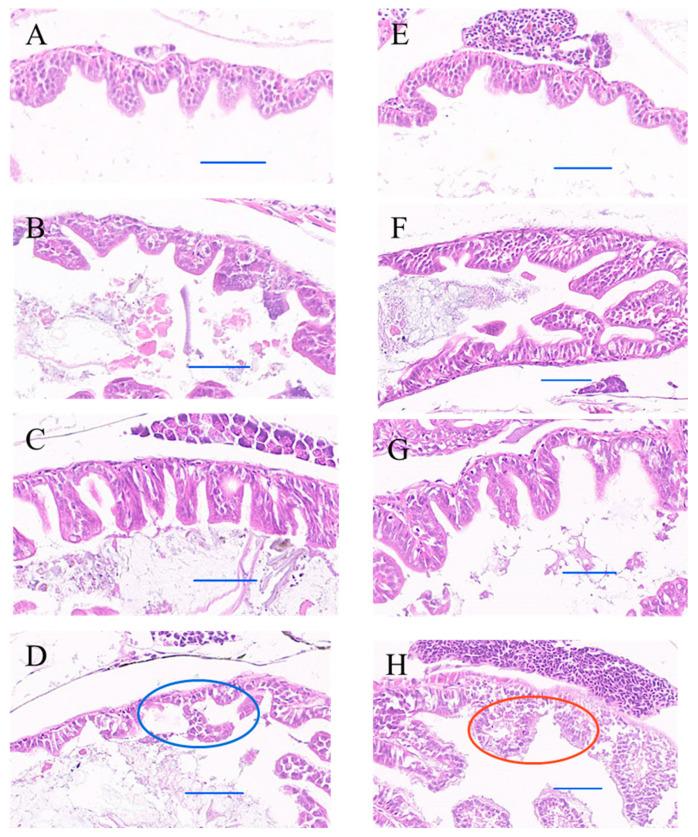 https://cdn.ncbi.nlm.nih.gov/pmc/blobs/a5fa/11359823/ccb4e817fb4a/toxics-12-00594-g005.jpg
