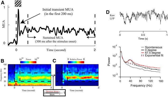 https://cdn.ncbi.nlm.nih.gov/pmc/blobs/a5fb/9279528/528c07271cb5/11571_2021_9767_Fig1_HTML.jpg