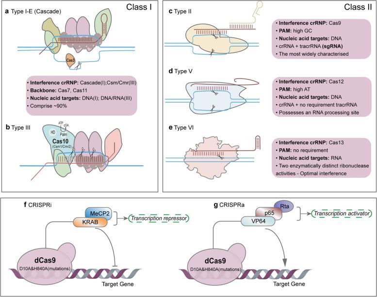 https://cdn.ncbi.nlm.nih.gov/pmc/blobs/a600/9933290/8c8c0c15a82b/12943_2023_1738_Fig1_HTML.jpg