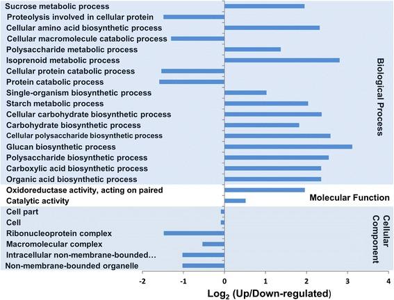 https://cdn.ncbi.nlm.nih.gov/pmc/blobs/a609/5423419/29c1544a1ab7/12864_2017_3633_Fig5_HTML.jpg