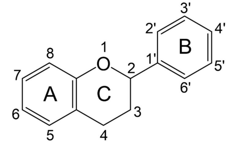 https://cdn.ncbi.nlm.nih.gov/pmc/blobs/a622/8230563/957d6a594855/molecules-26-03557-g002.jpg