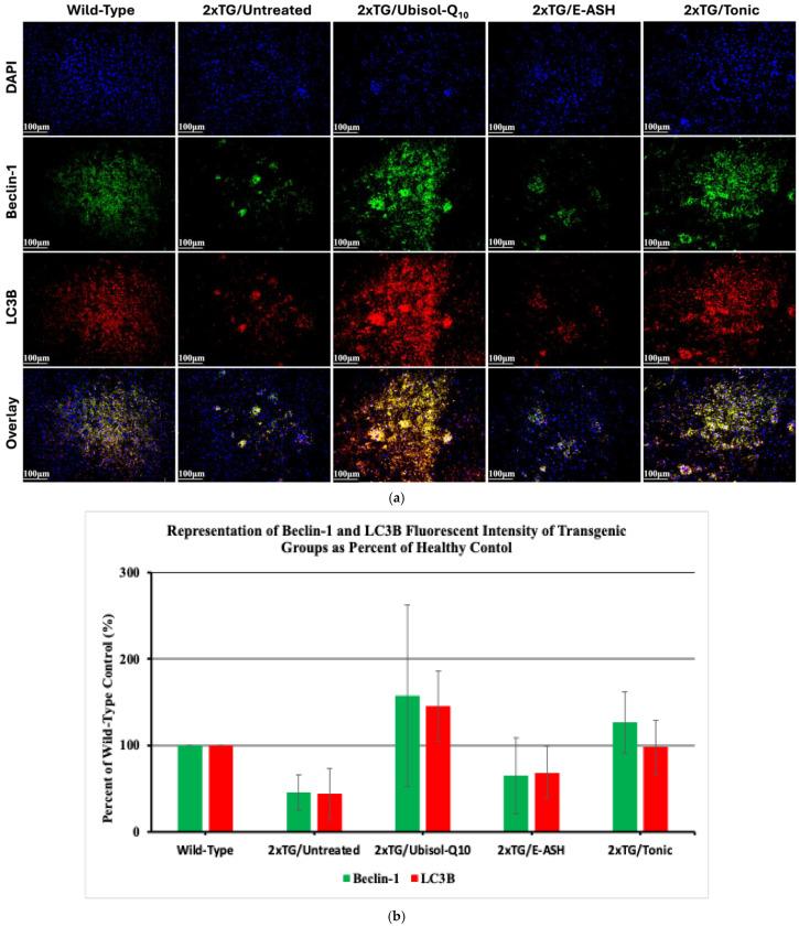 https://cdn.ncbi.nlm.nih.gov/pmc/blobs/a629/12389564/6f4736c49871/nutrients-17-02701-g006.jpg