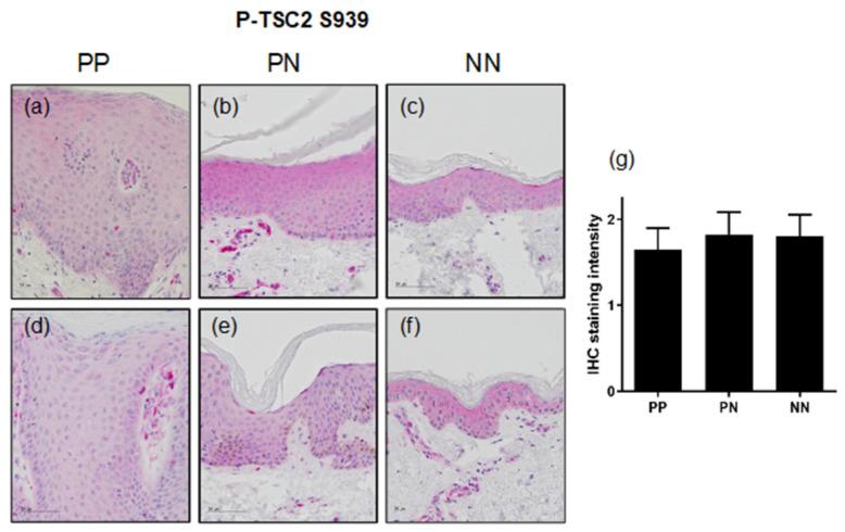 https://cdn.ncbi.nlm.nih.gov/pmc/blobs/a636/9497233/805230178c48/cells-11-02847-g002.jpg