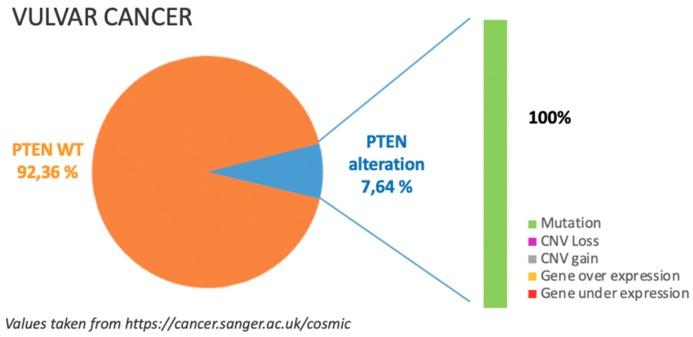 https://cdn.ncbi.nlm.nih.gov/pmc/blobs/a65e/6826459/5cc530ba3f1e/cancers-11-01458-g005.jpg