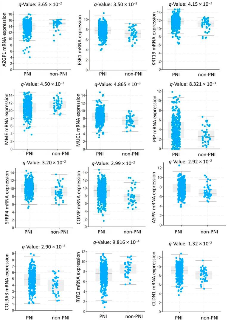 https://cdn.ncbi.nlm.nih.gov/pmc/blobs/a663/12384009/595d704c0b4c/biomedicines-13-01789-g002.jpg