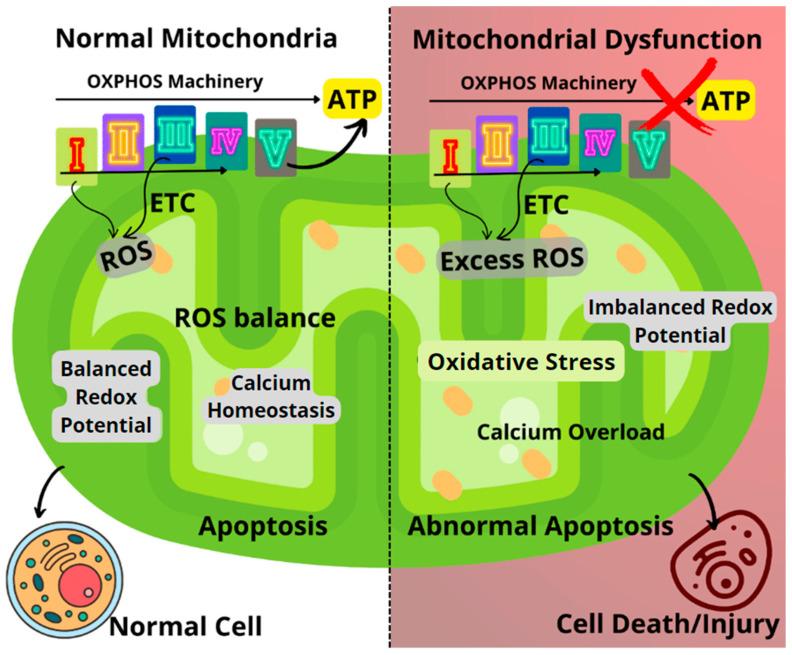 https://cdn.ncbi.nlm.nih.gov/pmc/blobs/a677/9953029/1a48e49340be/biomolecules-13-00226-g001.jpg