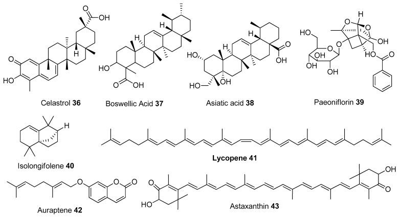 https://cdn.ncbi.nlm.nih.gov/pmc/blobs/a677/9953029/aaaf230fe2f6/biomolecules-13-00226-g006.jpg