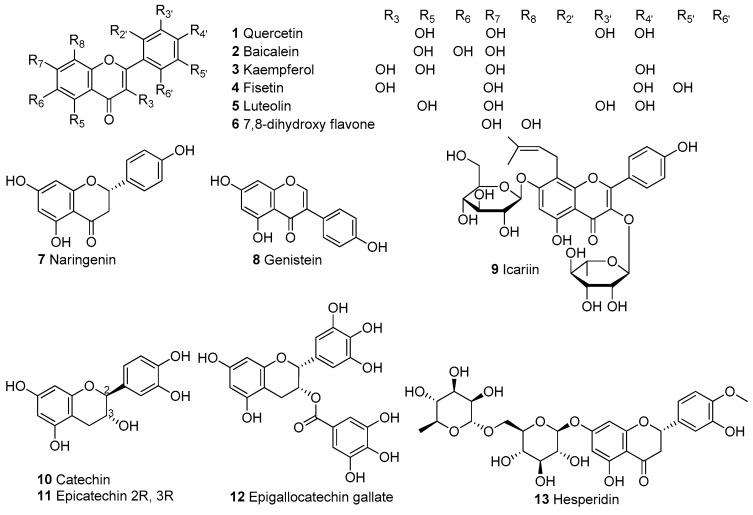 https://cdn.ncbi.nlm.nih.gov/pmc/blobs/a677/9953029/b0034df3d8a5/biomolecules-13-00226-g003.jpg
