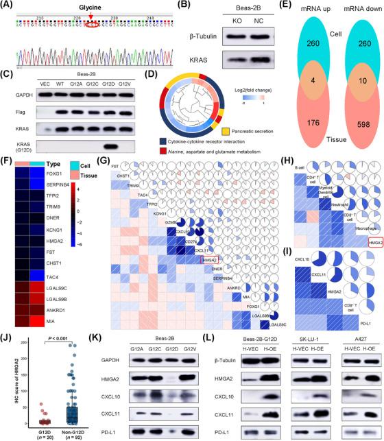 https://cdn.ncbi.nlm.nih.gov/pmc/blobs/a691/9456691/3050168455c0/CAC2-42-828-g001.jpg