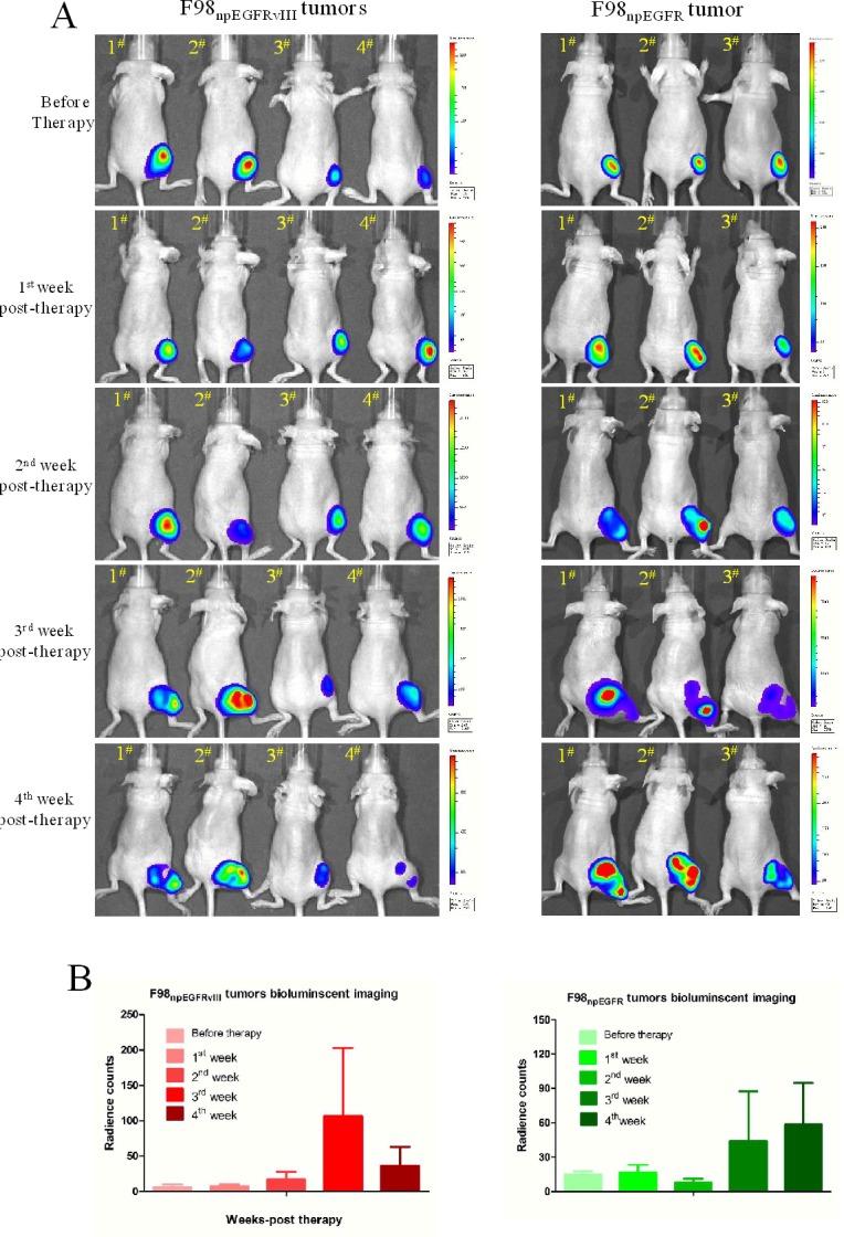 https://cdn.ncbi.nlm.nih.gov/pmc/blobs/a698/4695148/9b5d5d677e42/oncotarget-06-23735-g007.jpg