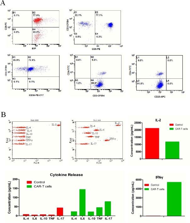 https://cdn.ncbi.nlm.nih.gov/pmc/blobs/a698/4695148/bd99eef24fba/oncotarget-06-23735-g002.jpg