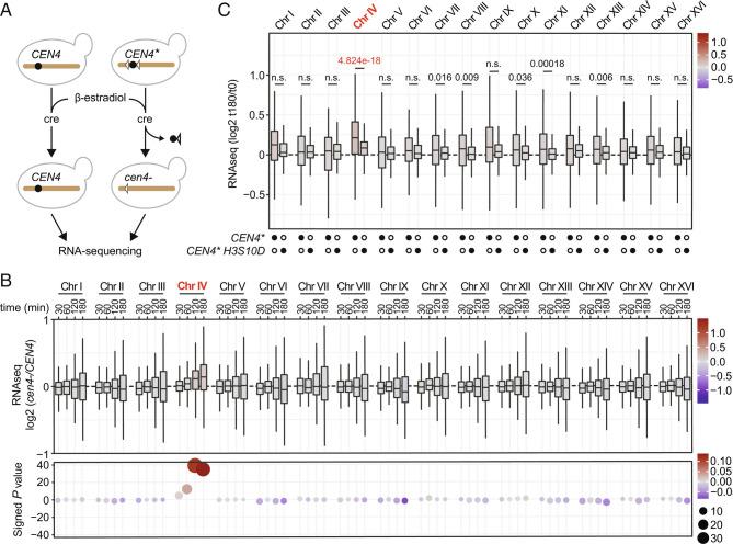 https://cdn.ncbi.nlm.nih.gov/pmc/blobs/a6a5/9942888/24f57b771c8a/pnas.2210593120fig01.jpg