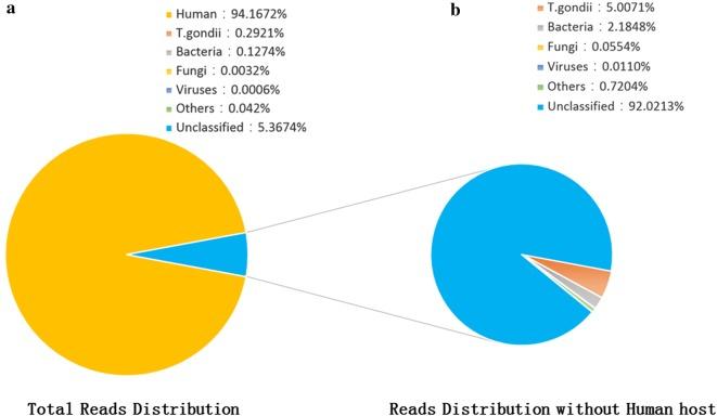 https://cdn.ncbi.nlm.nih.gov/pmc/blobs/a6cd/6305995/8adbb04d4514/12941_2018_298_Fig2_HTML.jpg