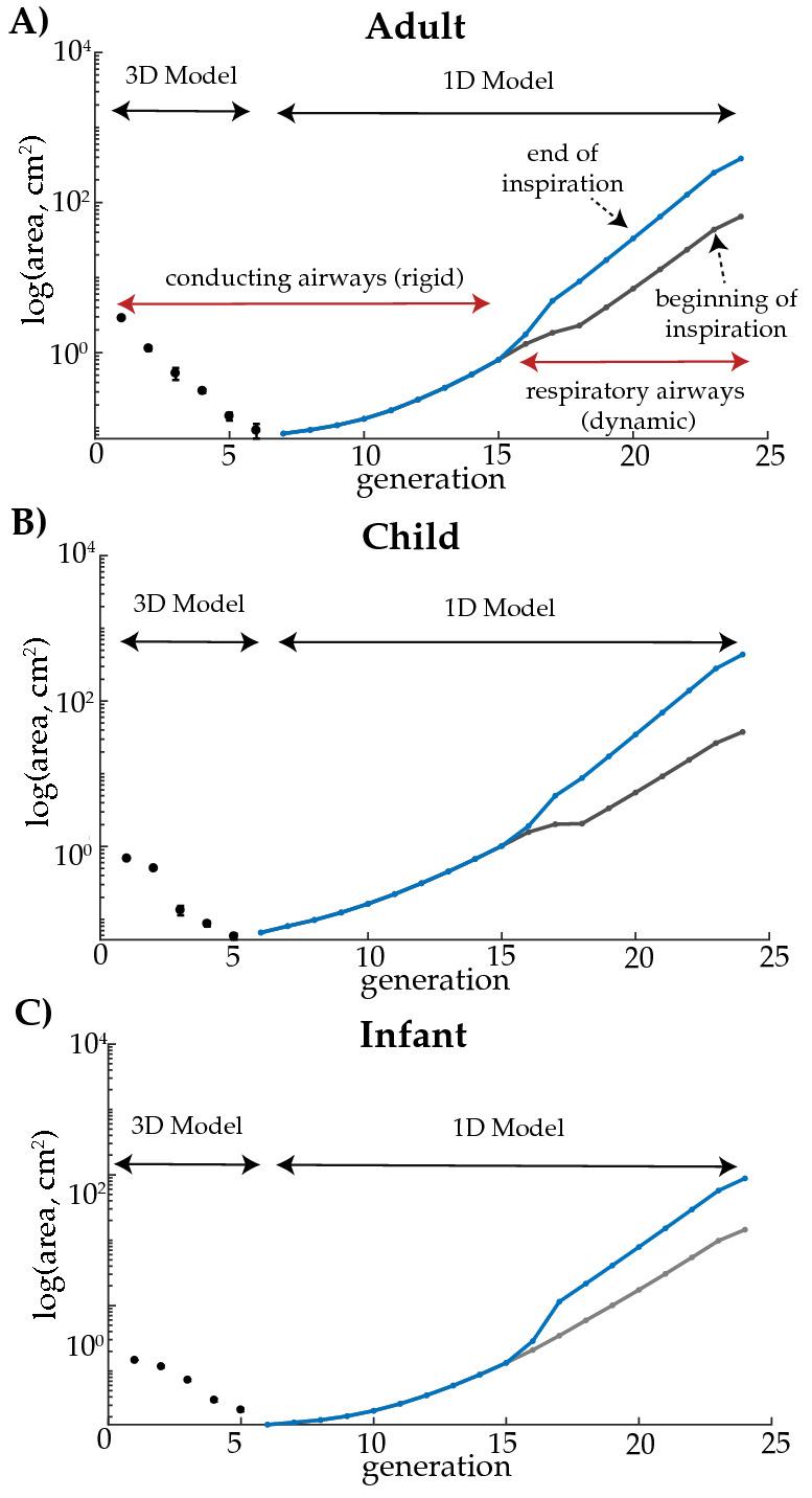 https://cdn.ncbi.nlm.nih.gov/pmc/blobs/a6d4/8159973/037563614581/41598_2021_90509_Fig2_HTML.jpg
