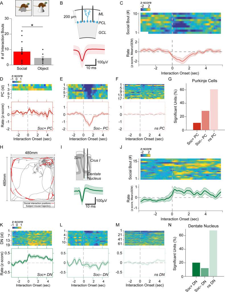 https://cdn.ncbi.nlm.nih.gov/pmc/blobs/a6e6/10942583/1dd2d7cee0b9/elife-88439-fig2.jpg