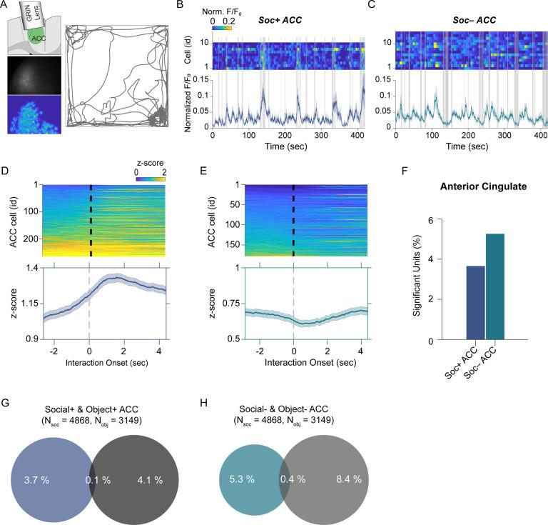 https://cdn.ncbi.nlm.nih.gov/pmc/blobs/a6e6/10942583/4516c0ccd62b/elife-88439-fig3.jpg
