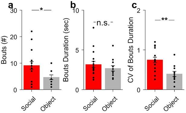 https://cdn.ncbi.nlm.nih.gov/pmc/blobs/a6e6/10942583/92c7959d2f3c/elife-88439-sa4-fig1.jpg