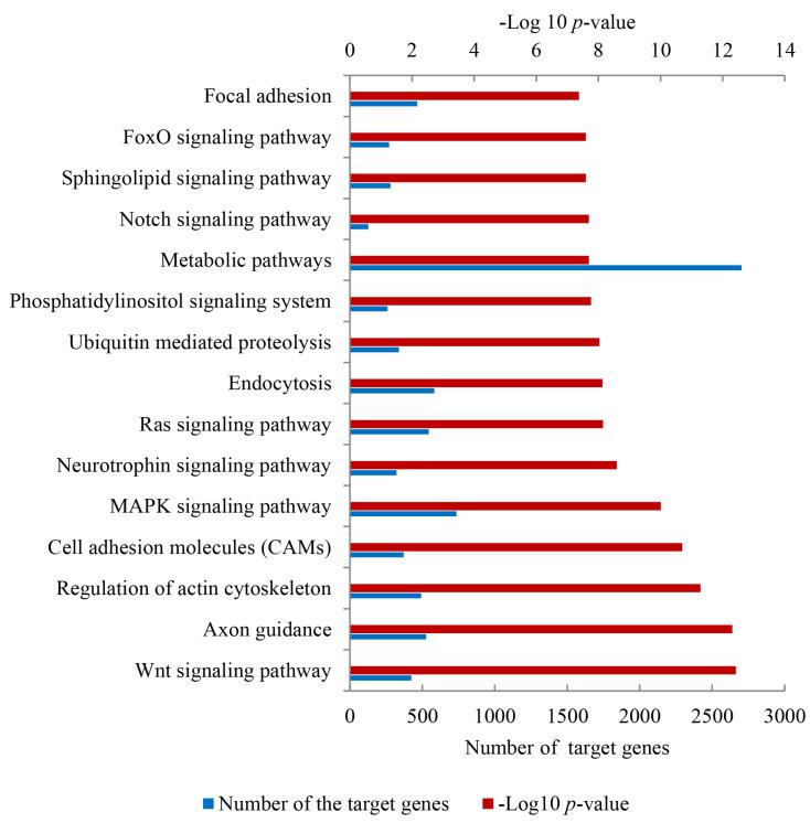 https://cdn.ncbi.nlm.nih.gov/pmc/blobs/a6e6/9957446/7b375c484474/genes-14-00473-g005.jpg
