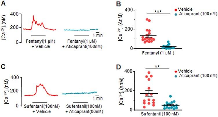 https://cdn.ncbi.nlm.nih.gov/pmc/blobs/a711/12117331/d596e89ec24a/zqaf020fig5.jpg